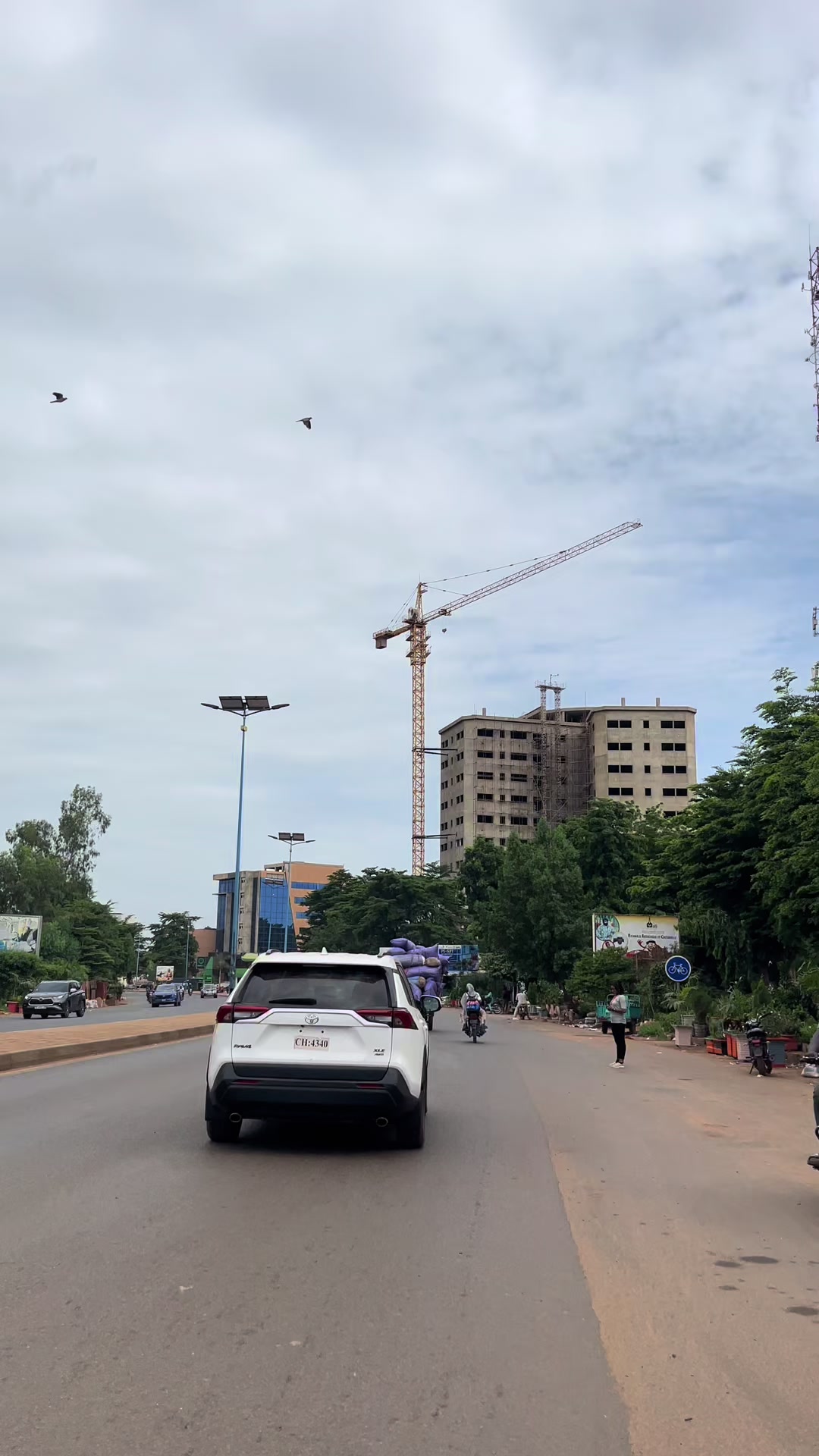 @Teammalian