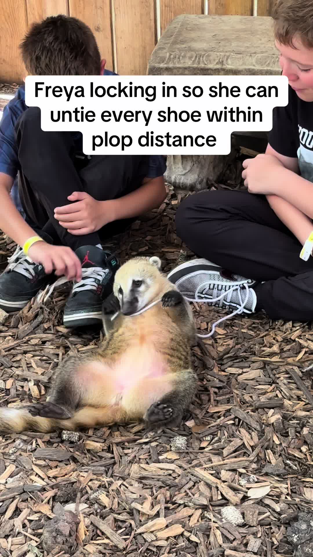 @Texas Wildlife Park