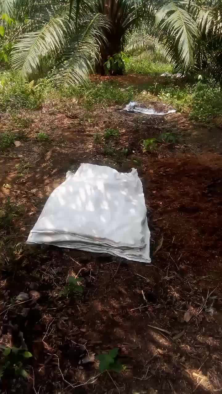 @SURYA TANI
