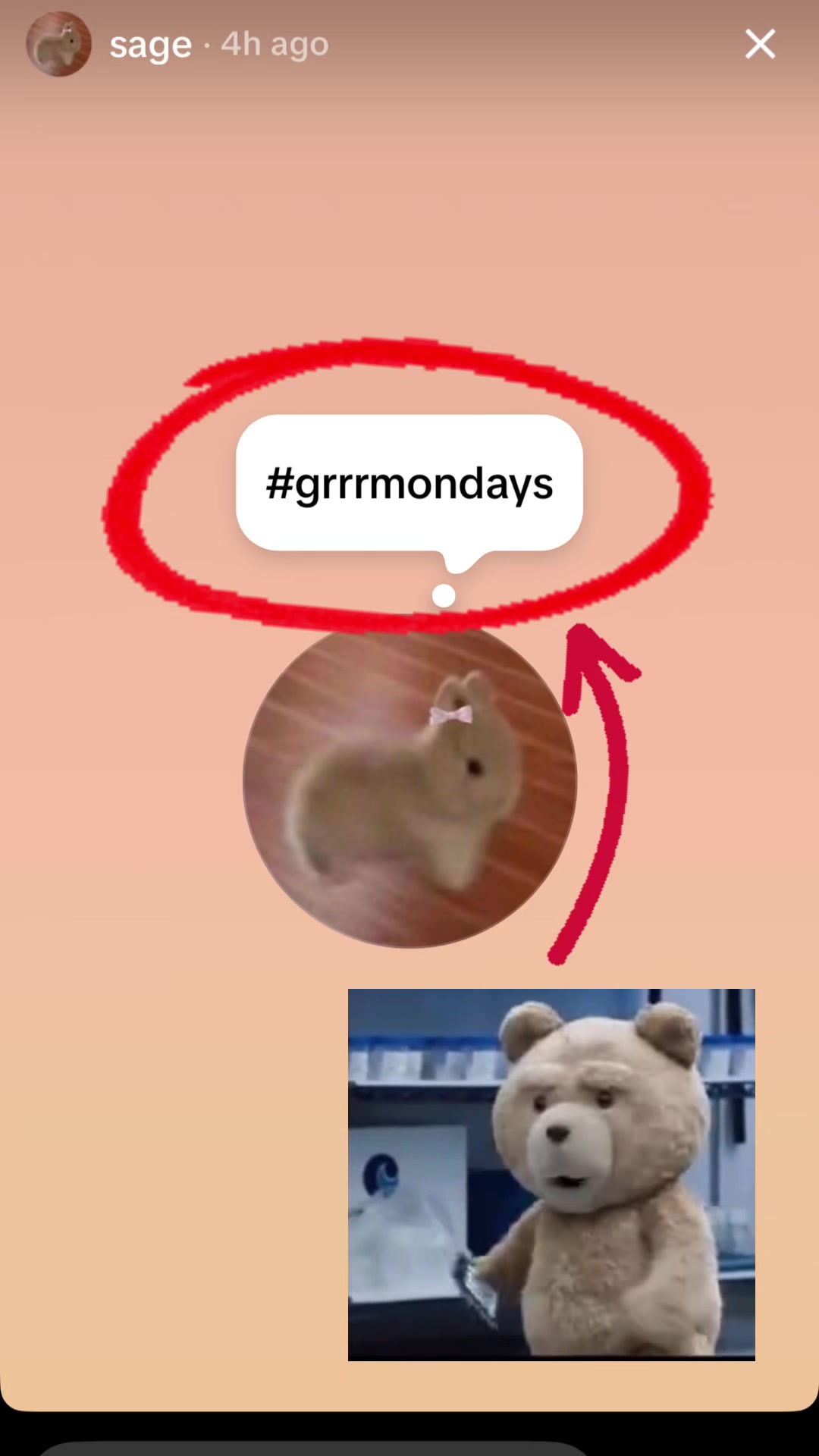 @LookyReviewsTikTok
