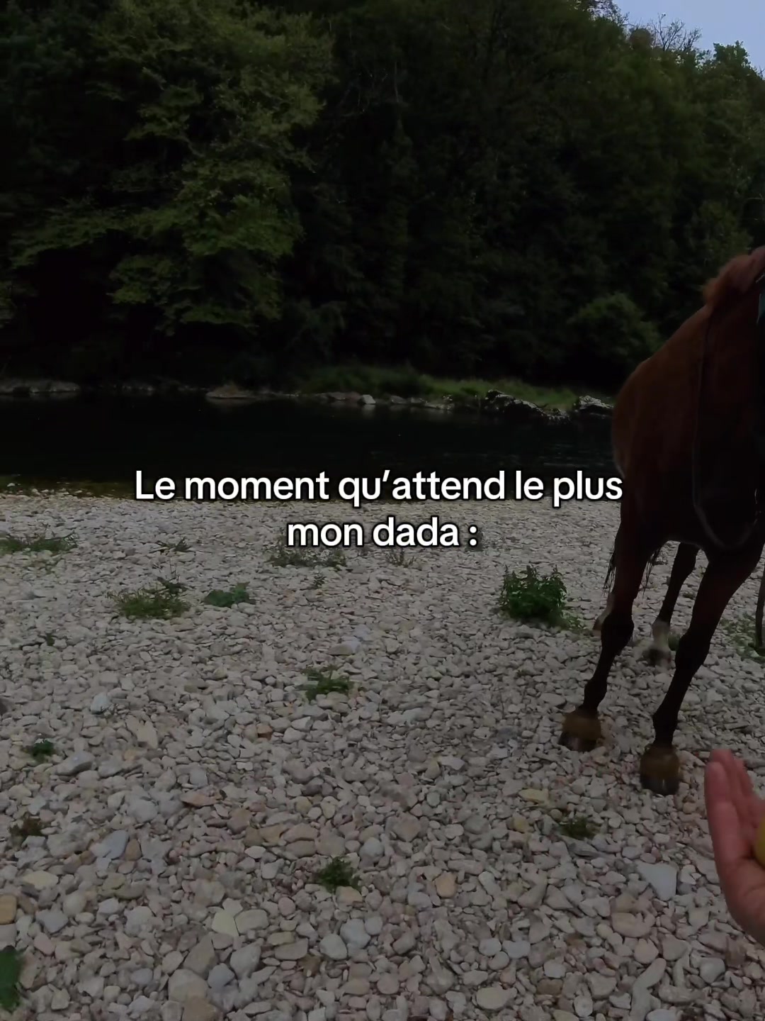 @Rolly&compagnie