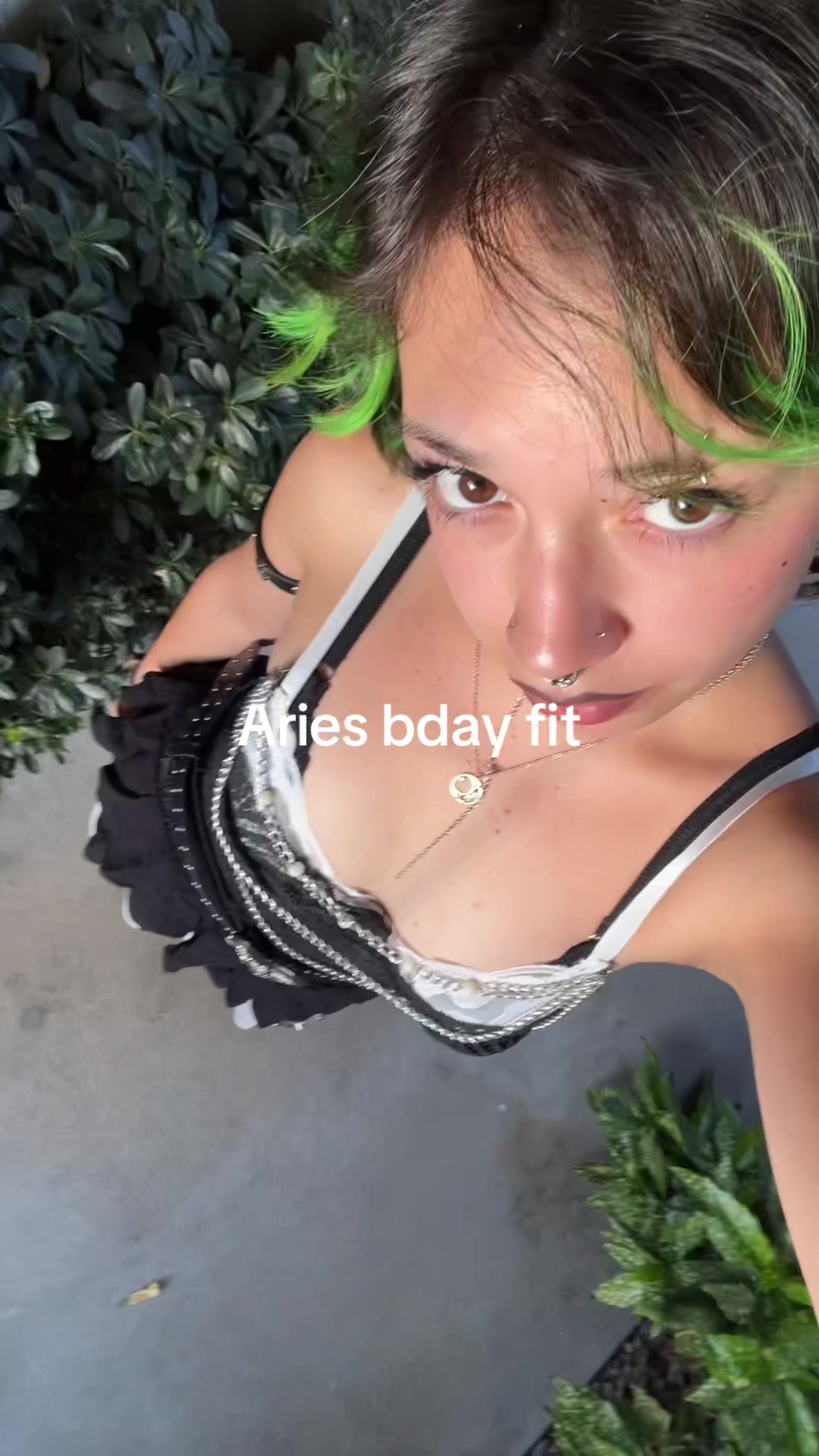 @ashaiese