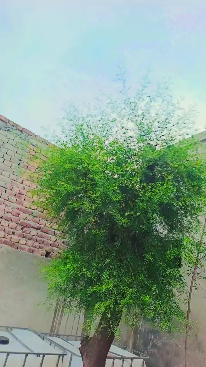 @rana waseem badsha