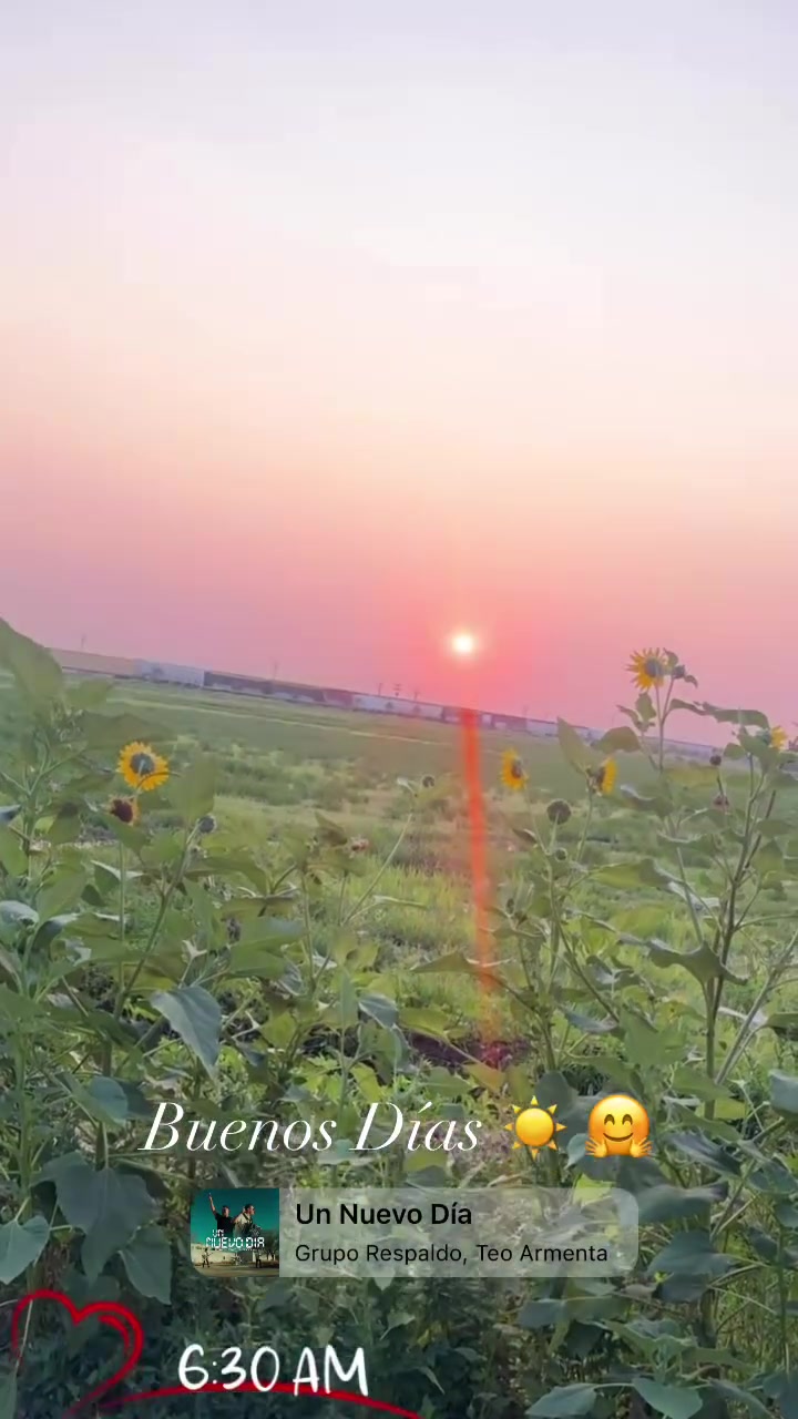 @𝒟𝒾𝒾𝓂𝓅𝓁ℯ𝓈