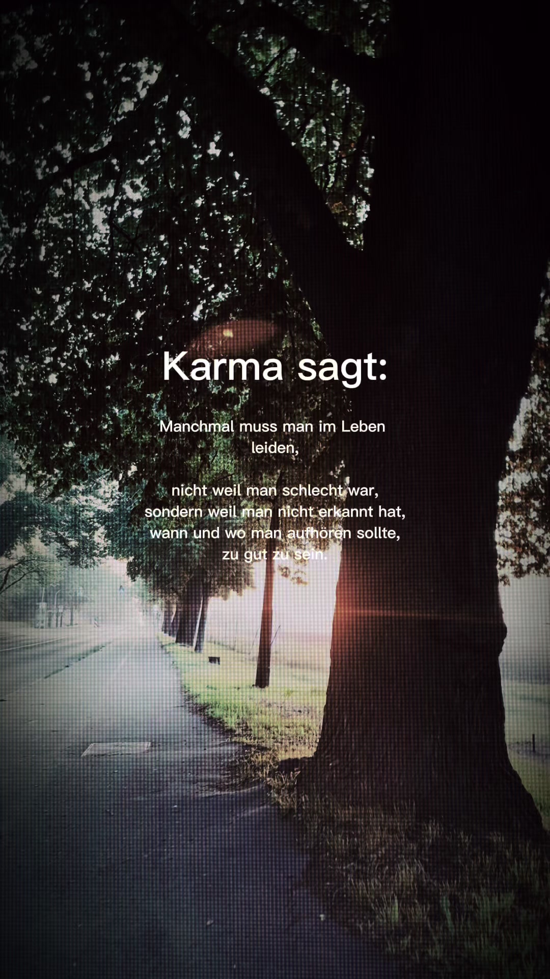 @✰🫧 simply💛schnatz🫧✰