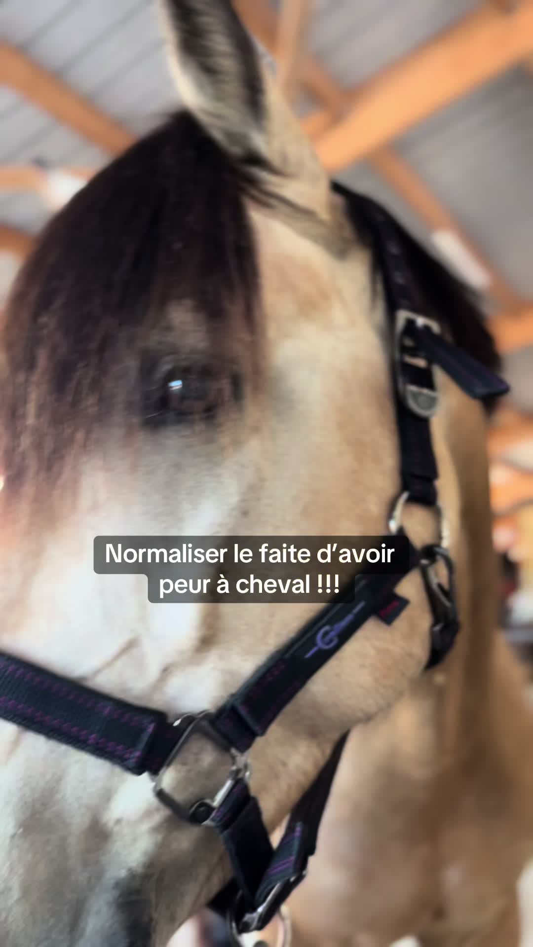 @RideWithL&eacute;a 🇫🇷