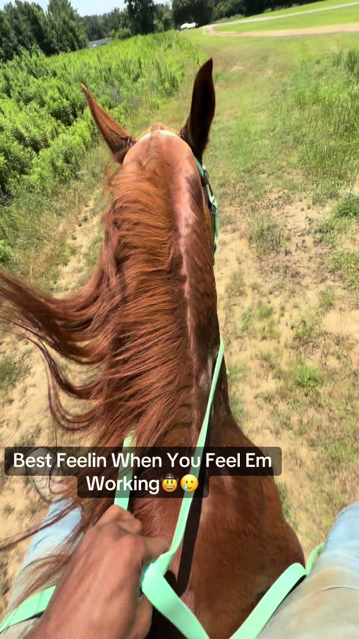 @sayyCamm🐎🤠