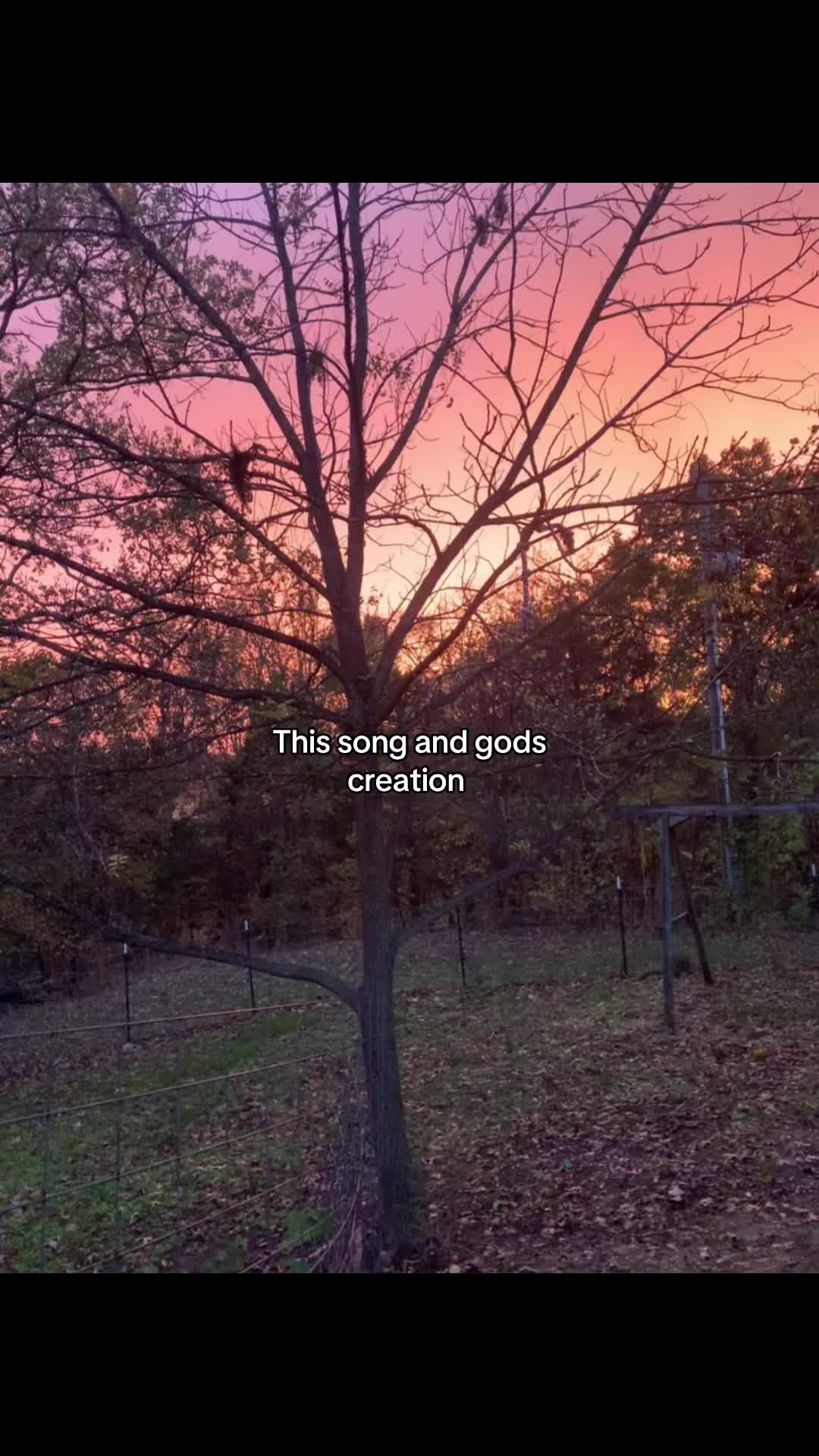 @𝒯𝓇𝒾𝓈𝓉𝒶𝓃 𝓁𝑒𝓌𝒾𝓈