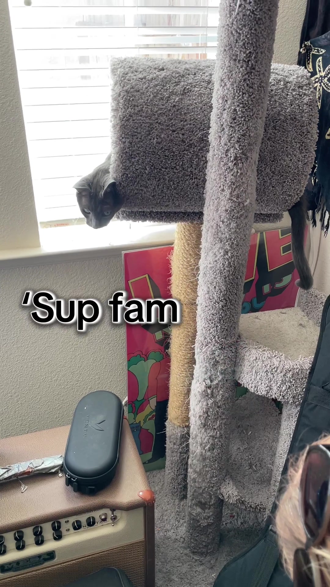 @ACatNamedMushroom
