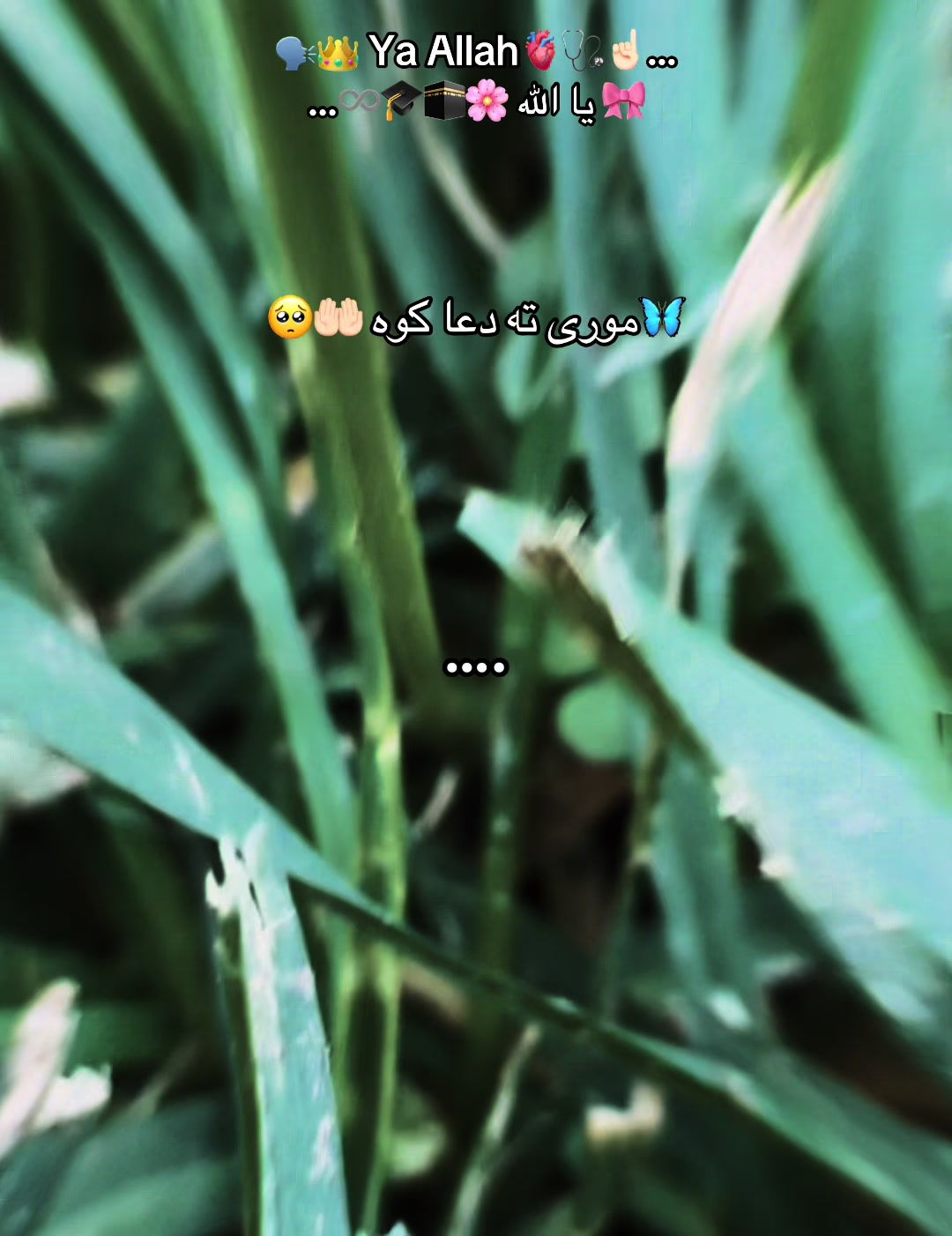 @ðð©º~Jannat~ð€ðŠðºðž