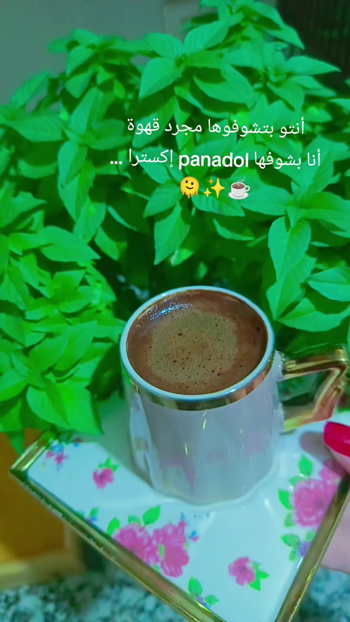 @☺️🌷زهرة حلب 🌷☺️
