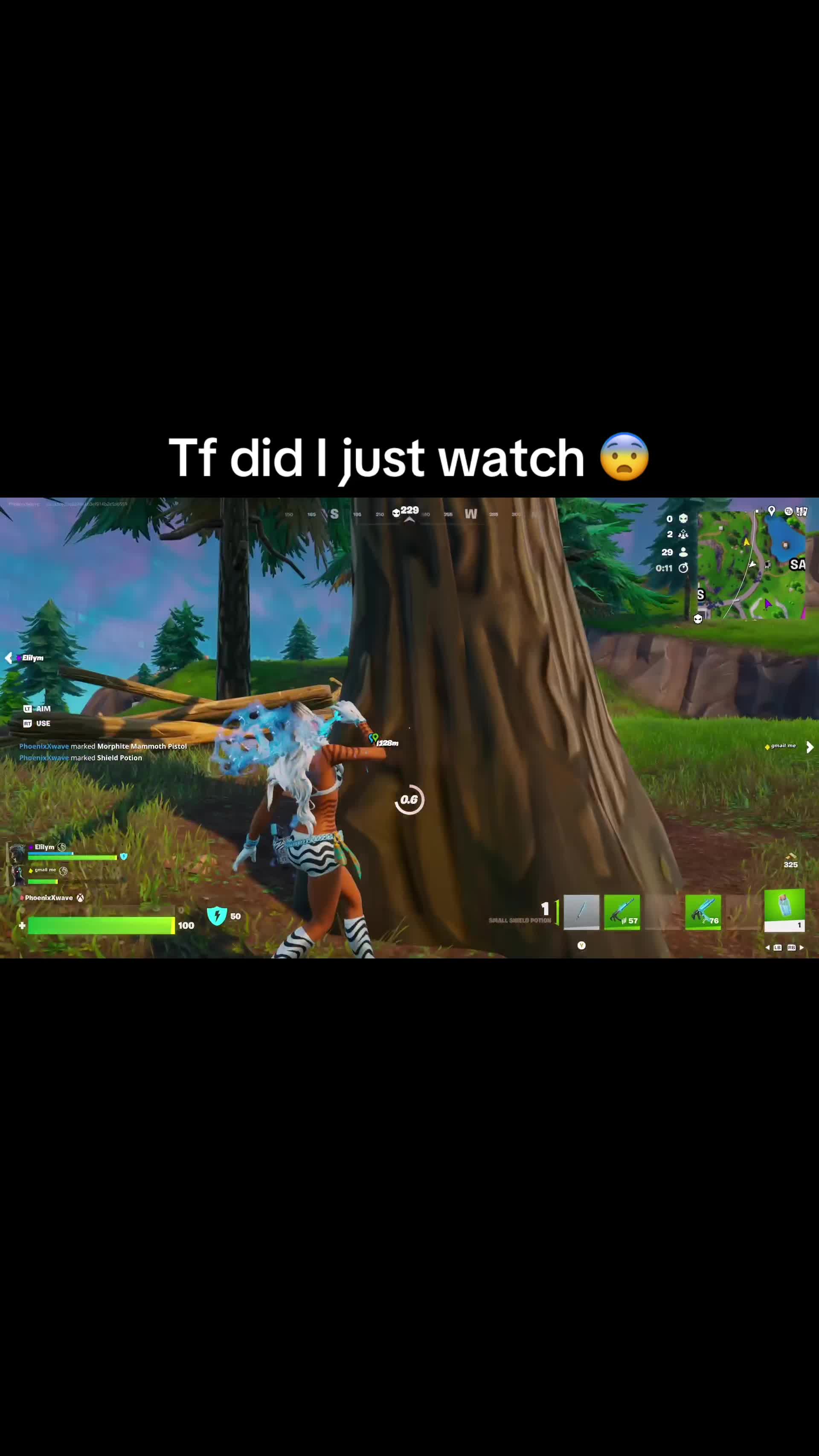 @PhoenixXwave