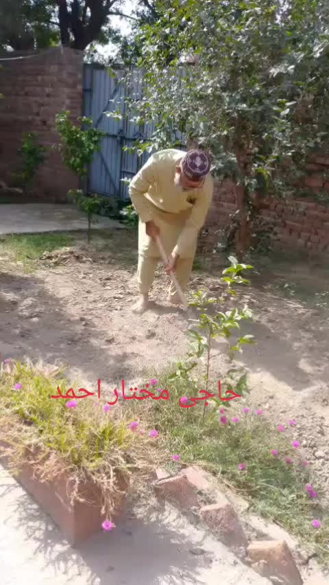 @Zain.Faisal.119