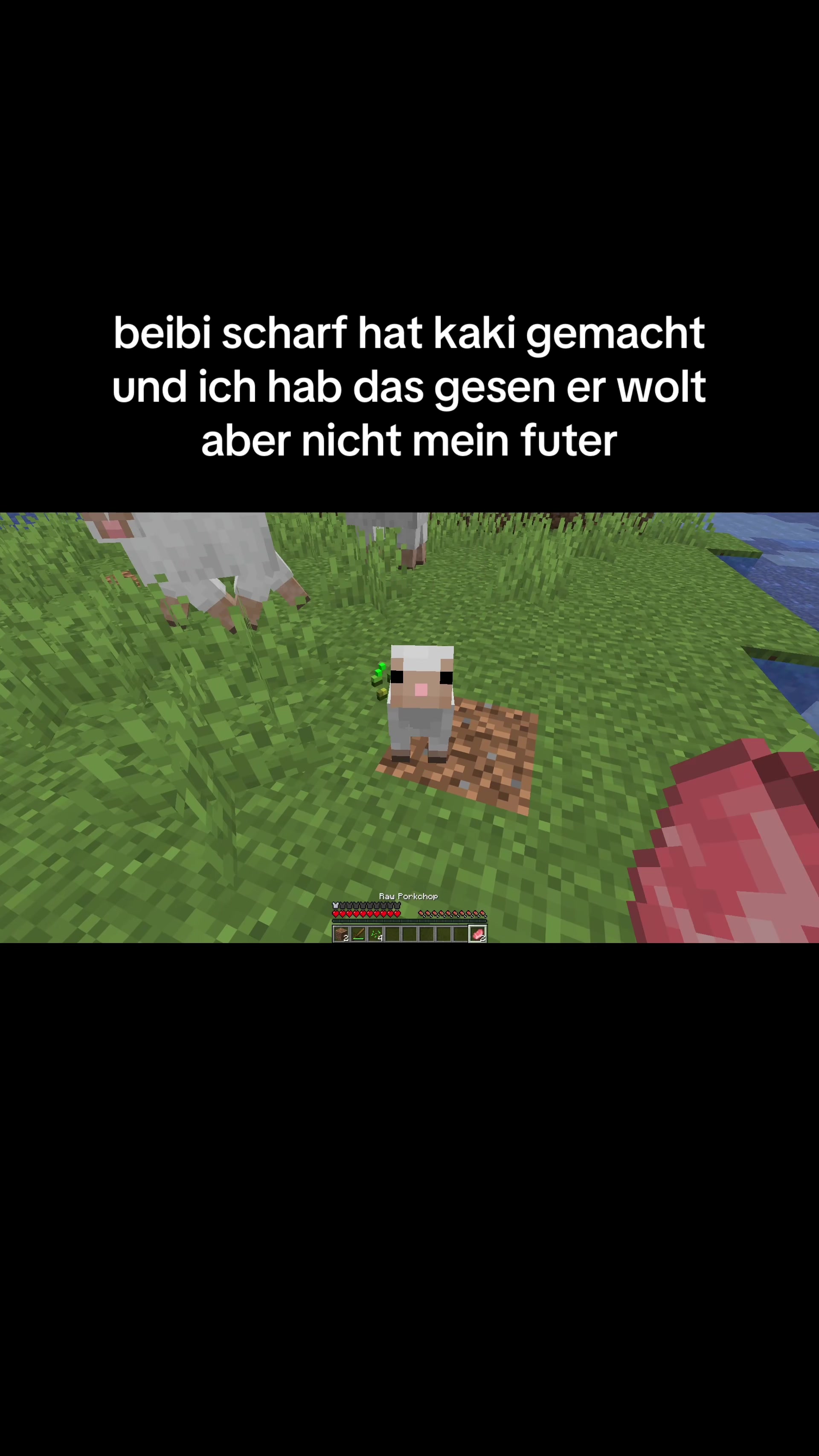@minecraftalexcool33