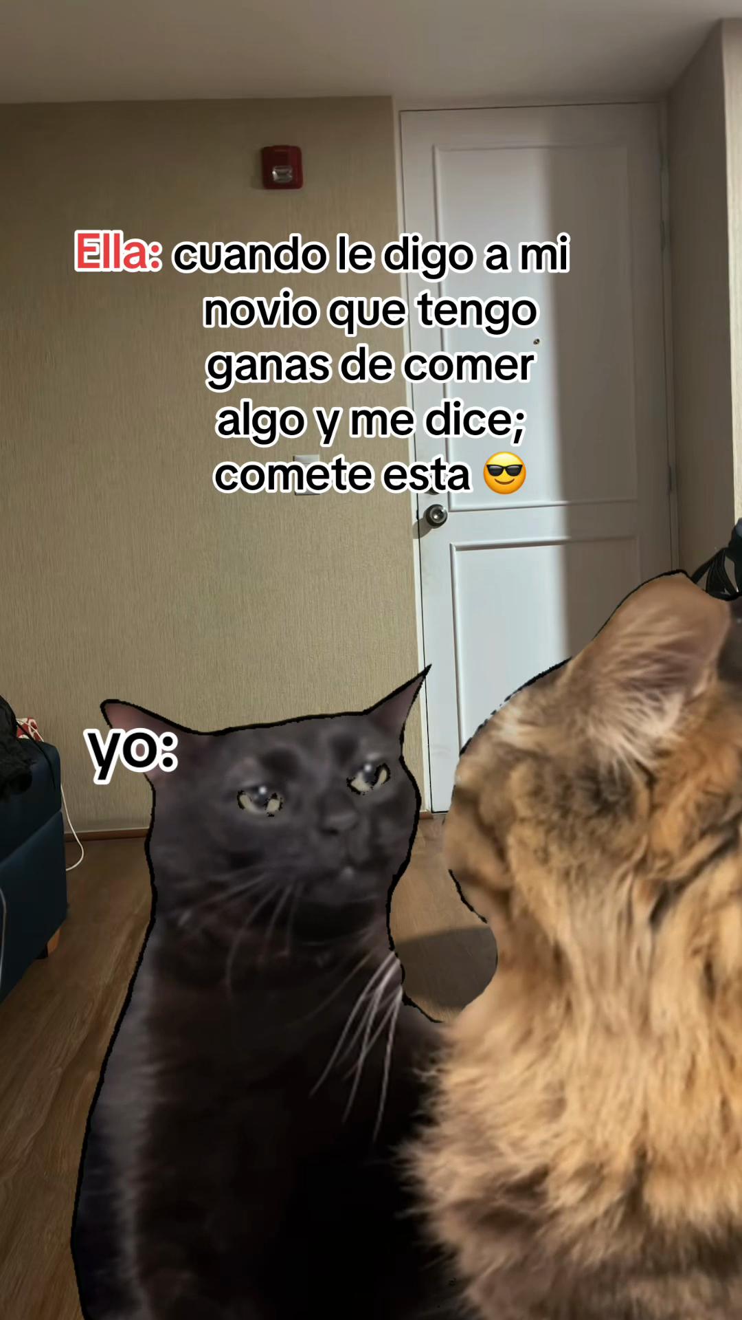 @jansonmania