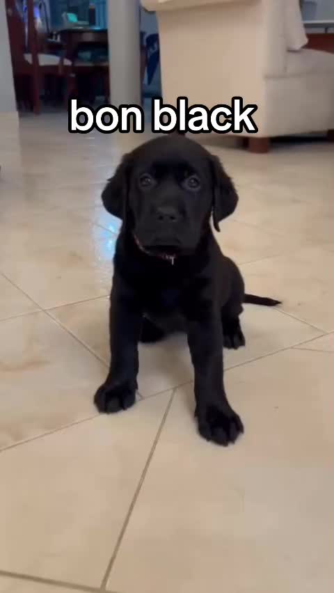 @Bendog