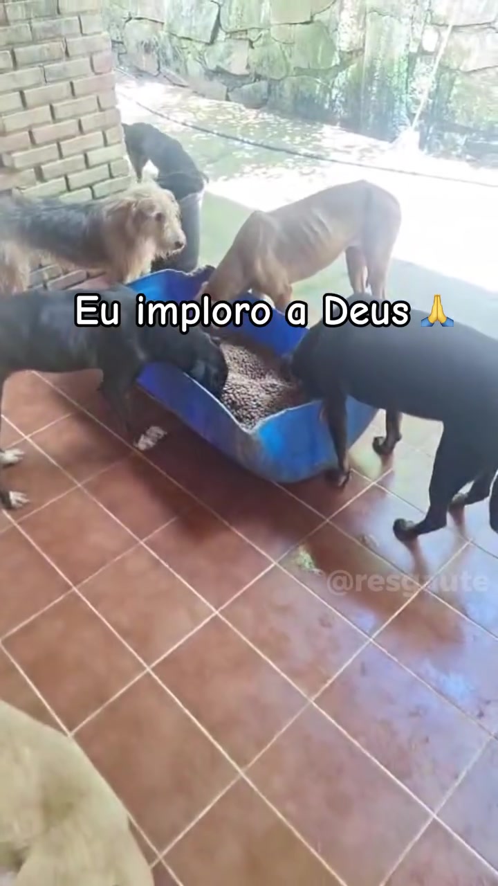 @ABRIGO DA VÓ