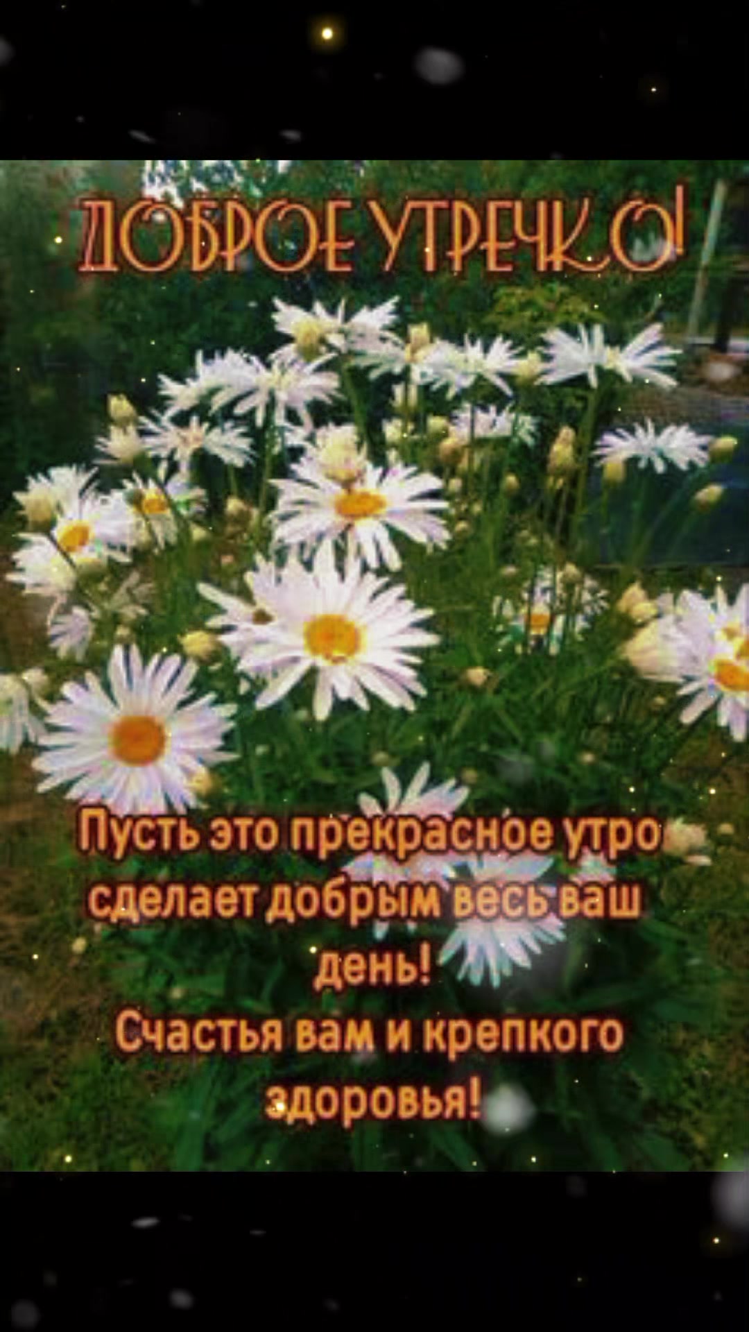 @🇷🇺𝖘𝖊𝖗𝖔𝖌𝖑𝖆𝖟𝖆𝖞𝖆🇷🇺