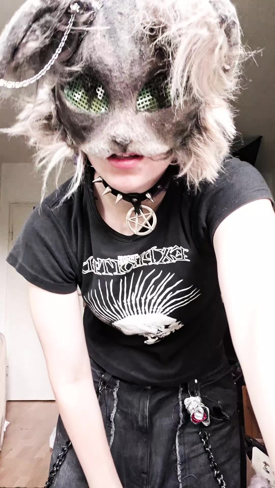 @☾⋆𝙻𝚞𝚌𝚒𝚏⋆☽