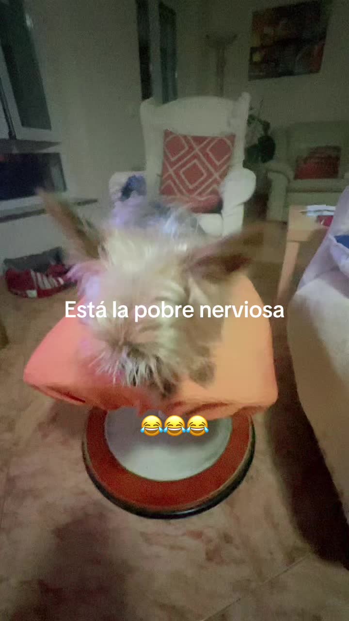 @Lati