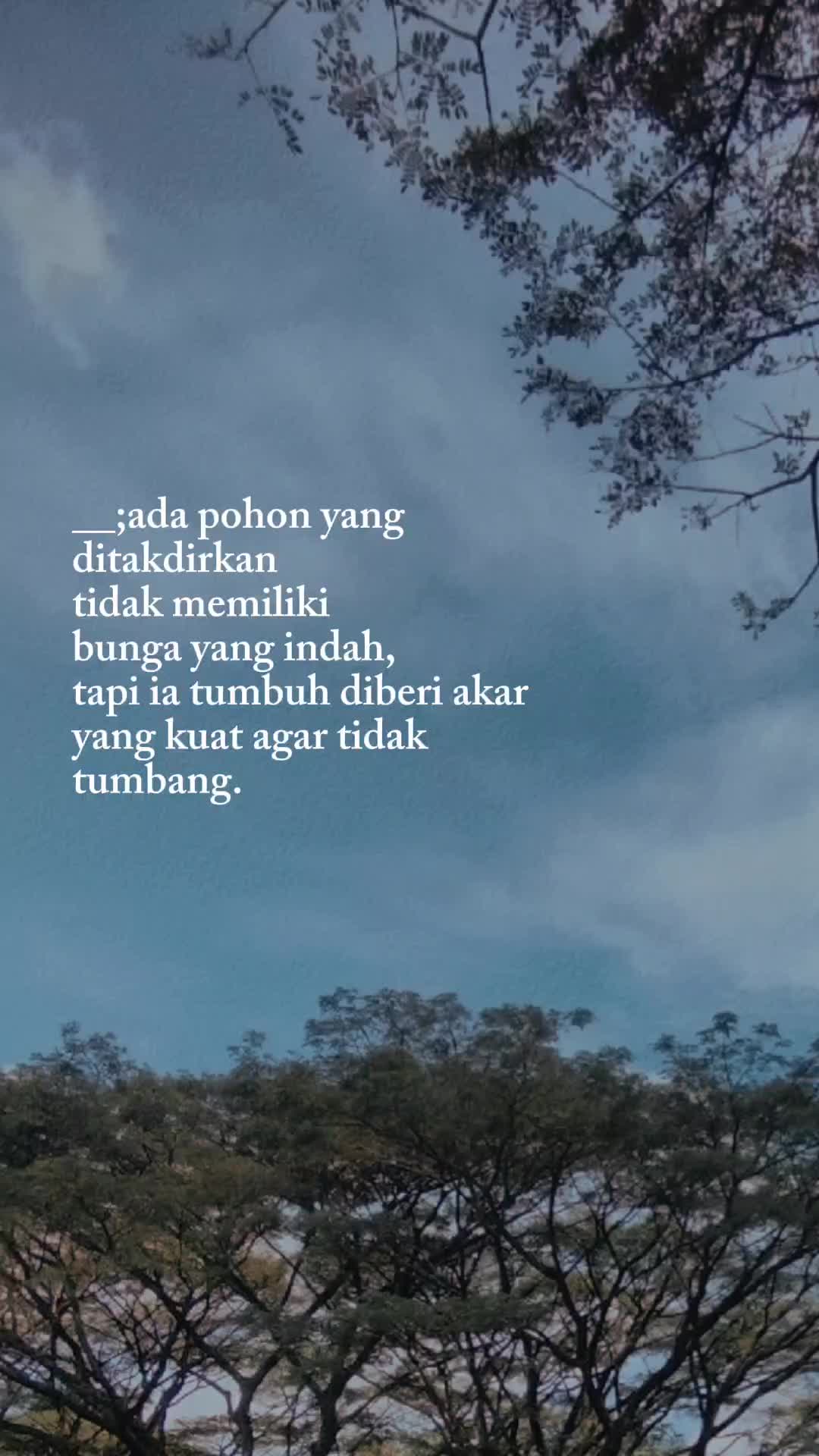 @sang_kaktus🌵