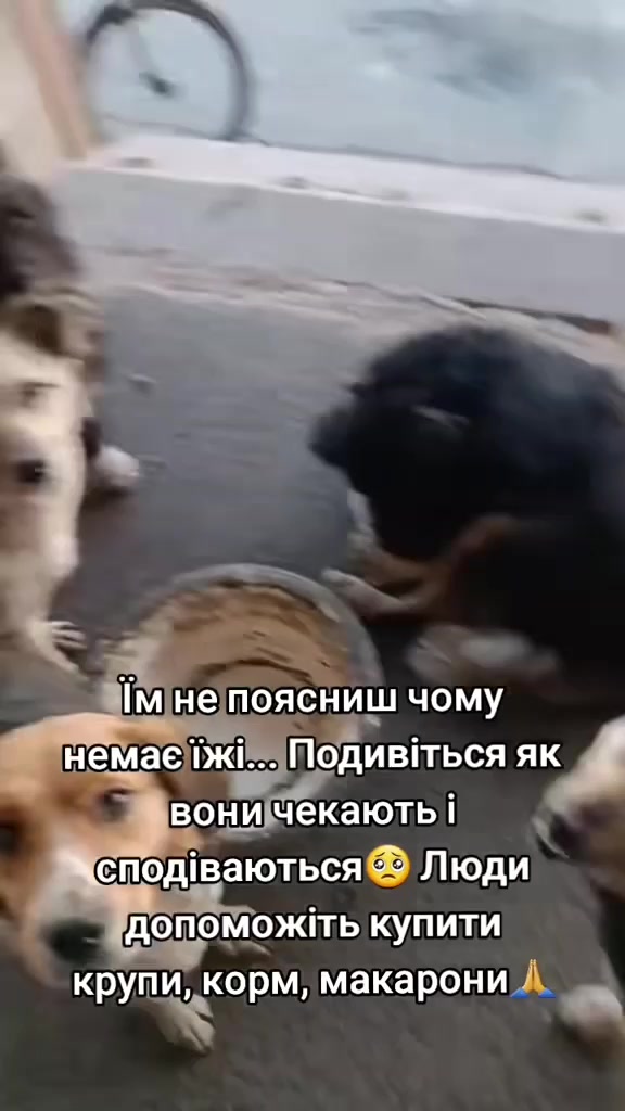 @tvarinkidobra