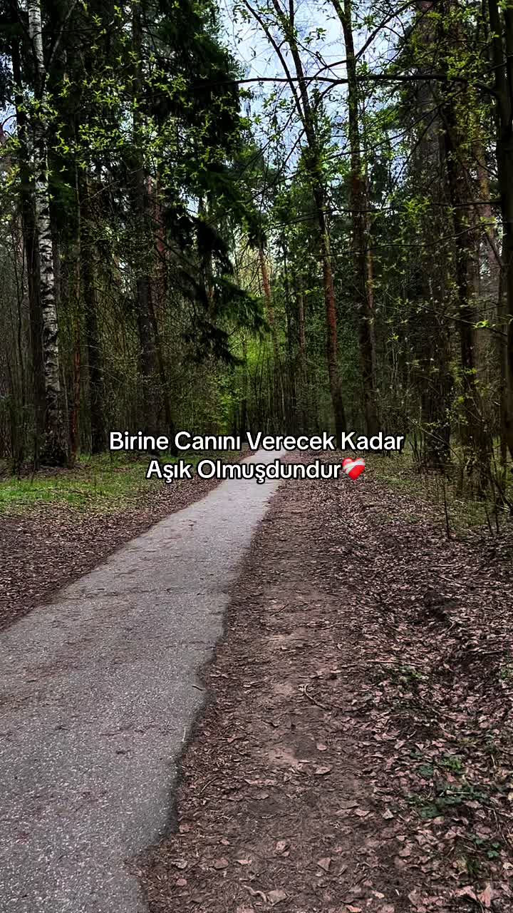 @talışgirl