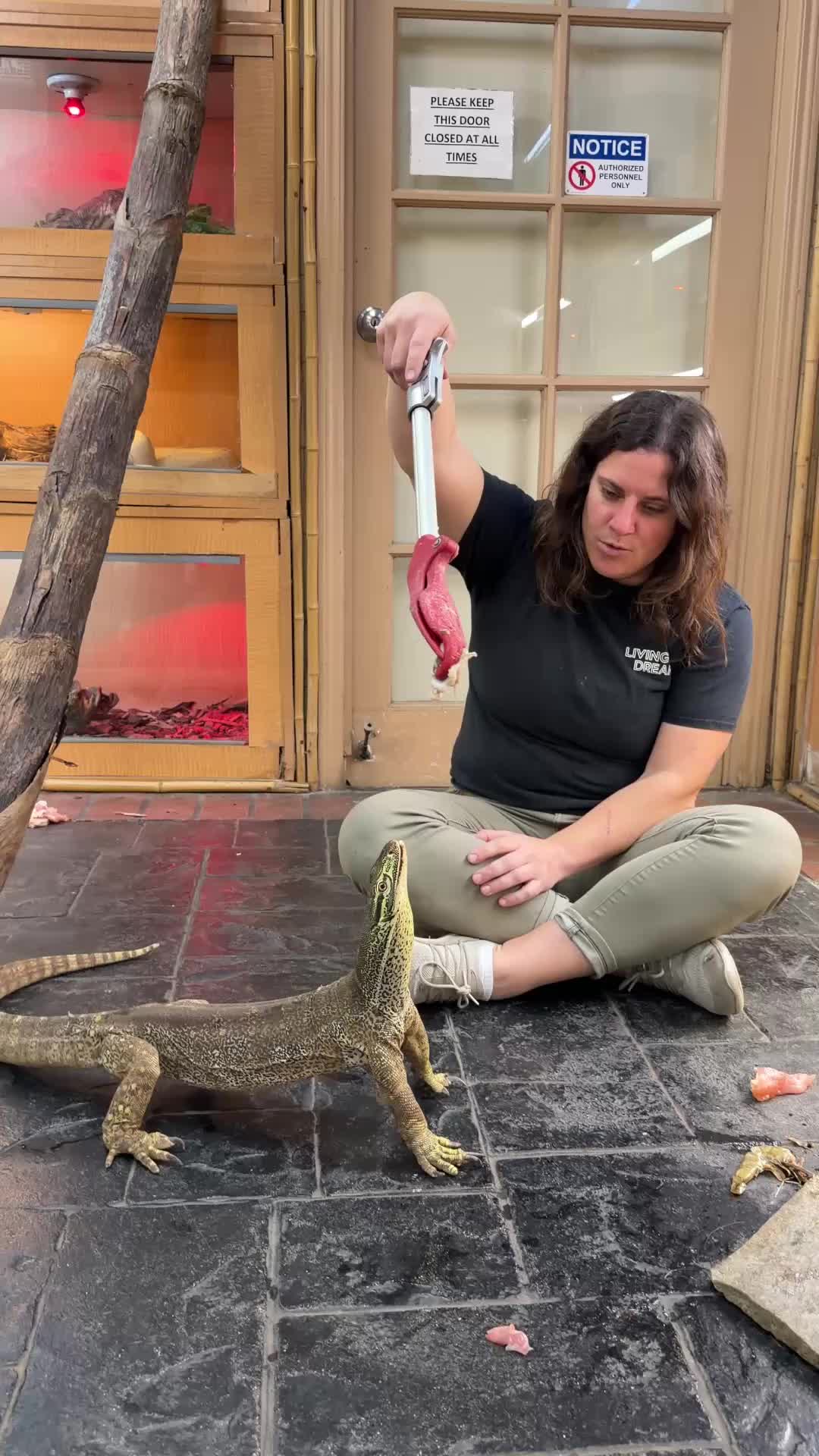 @The Reptile Zoo