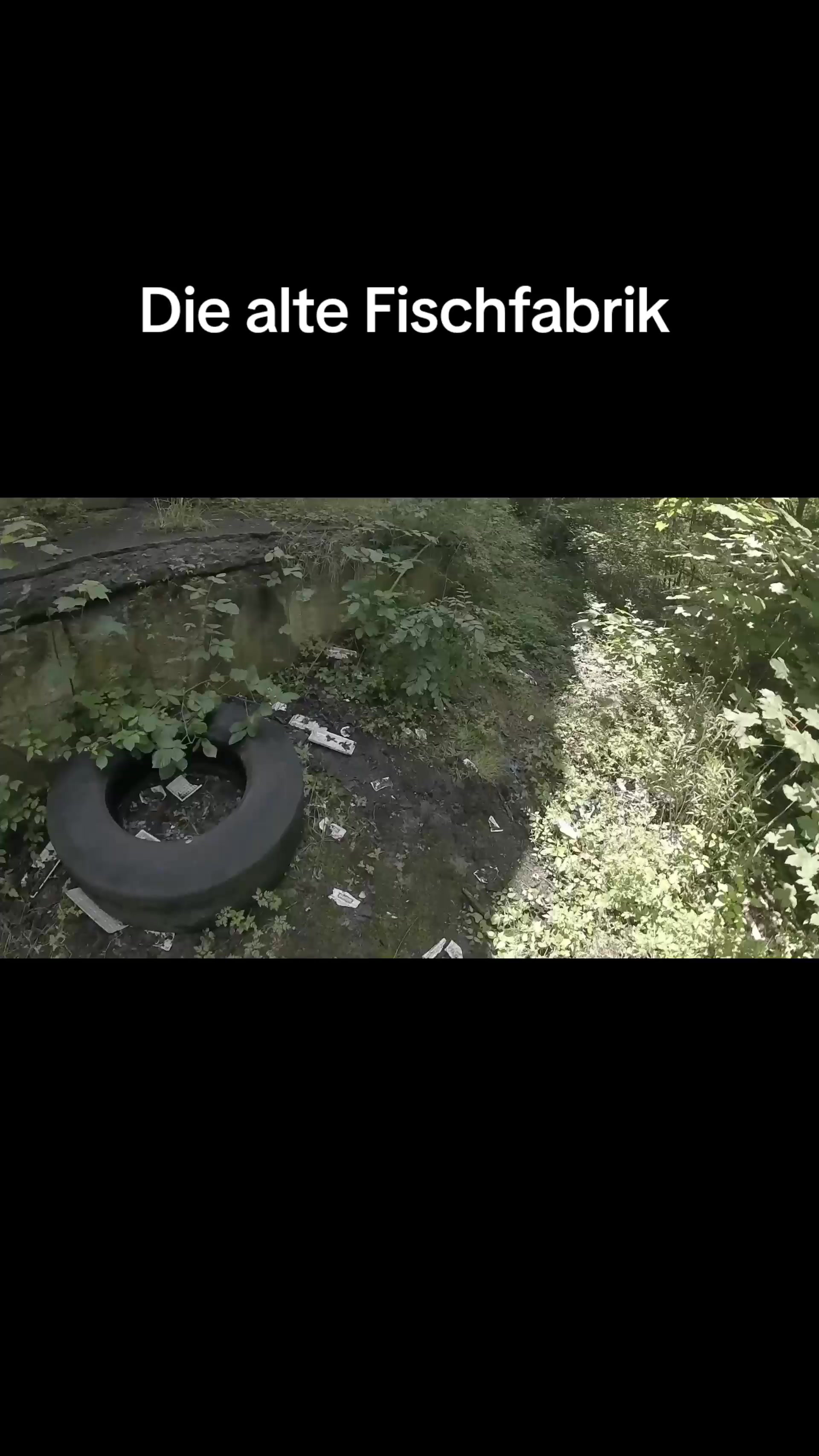 @Urbex_Springer