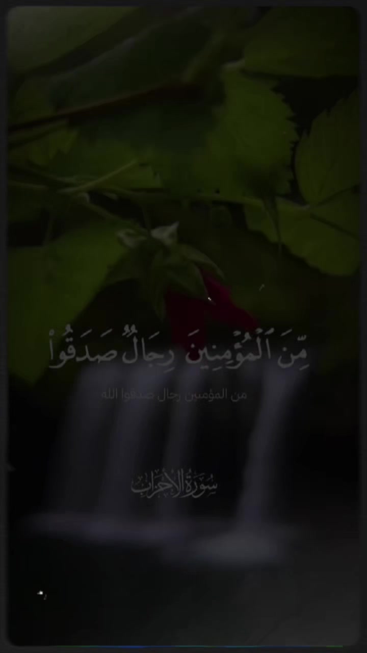 @AL Mahdi