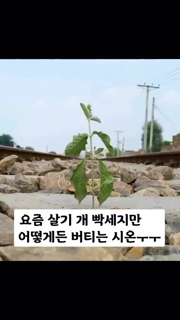 @카메라민