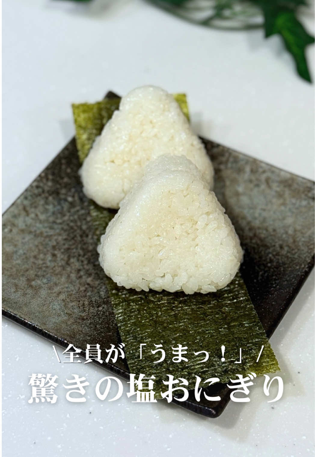 @moyu_onigiri