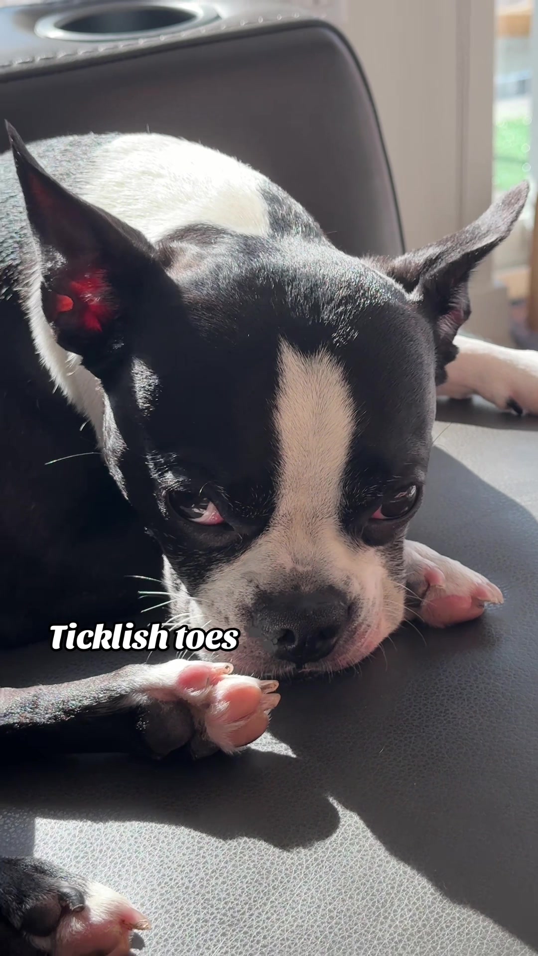 @LouieBostonT