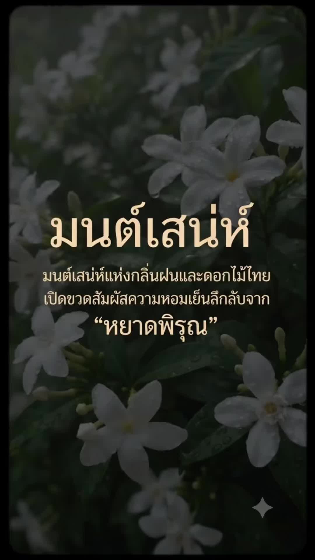 @Homprathin