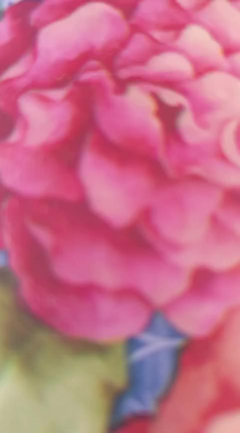 @STILE Donna 🎀  Vera 😉