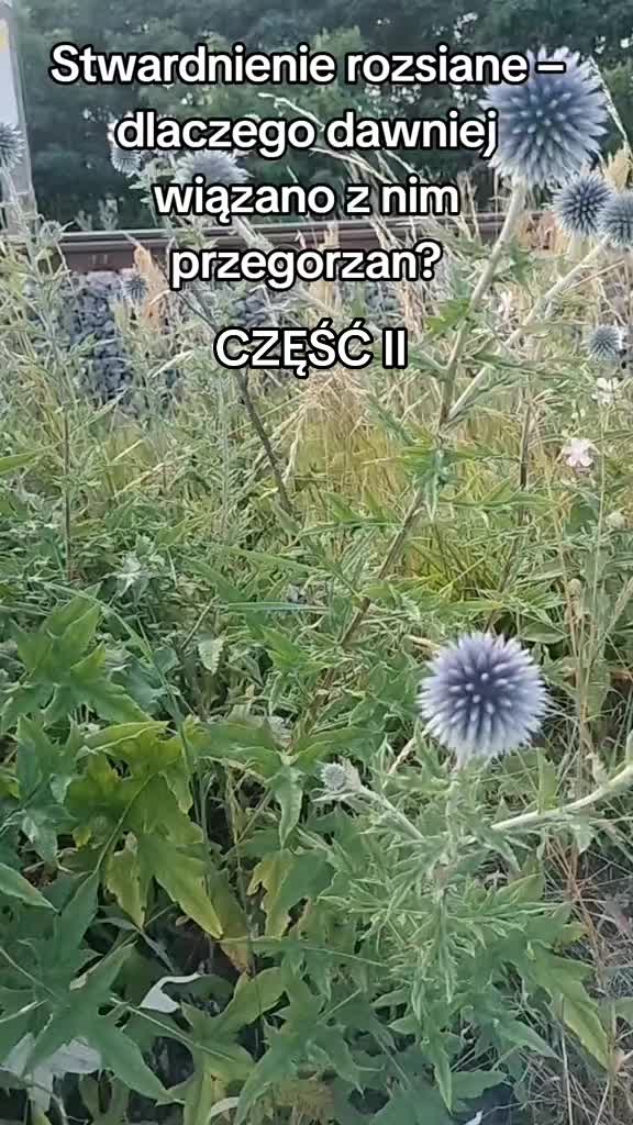 @Zielsko Szeptuchy