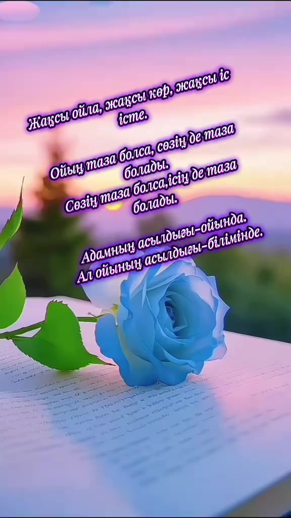@Жанар Бегасилова
