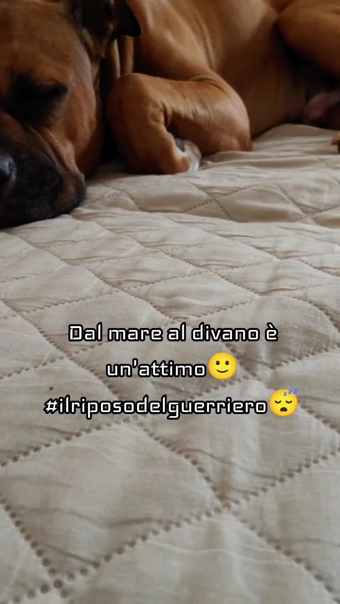 @Anna Maria Vaccaro
