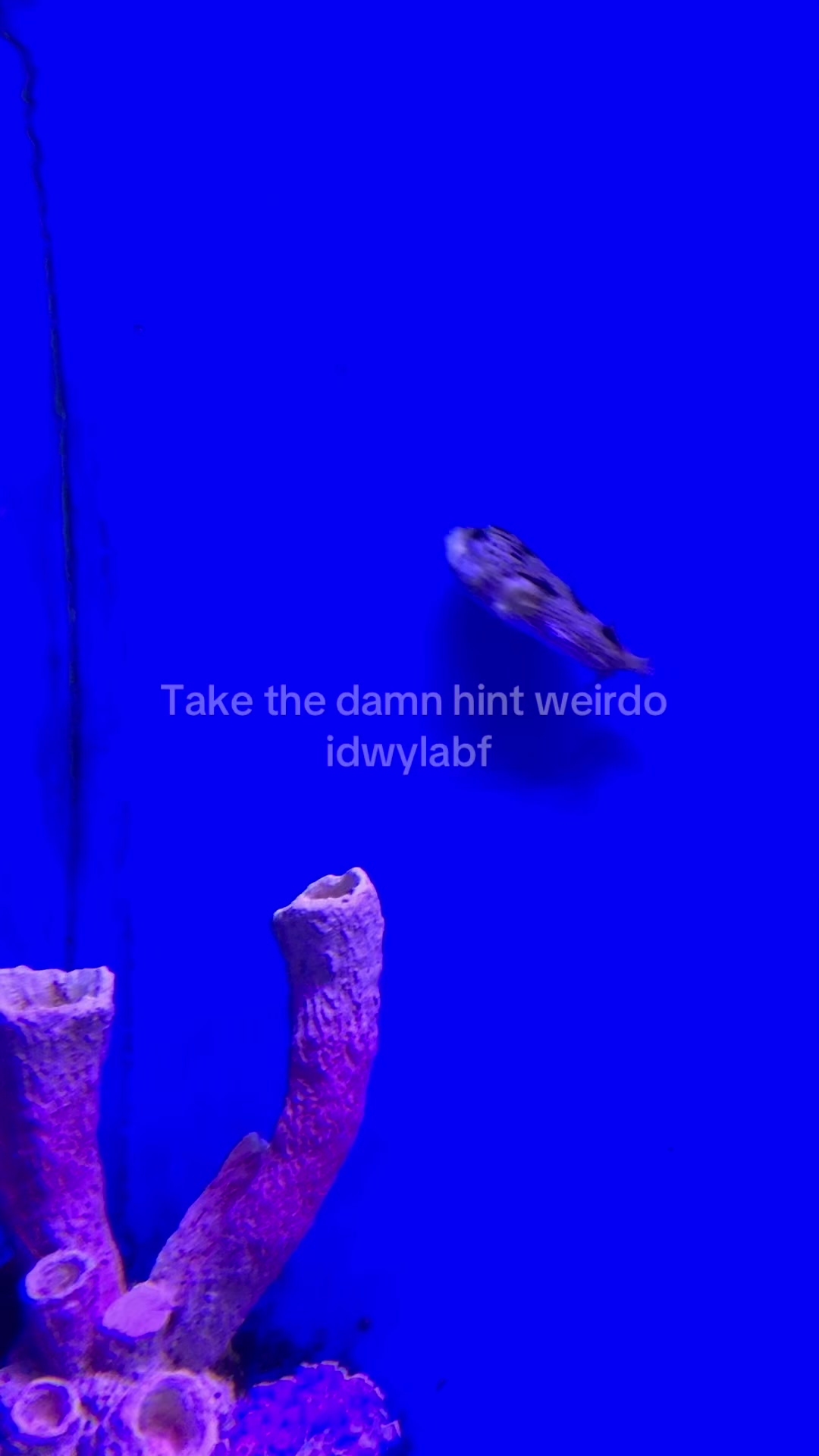 @kxriaa