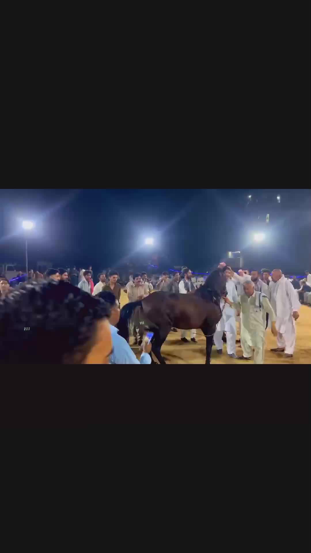 @mzii_1