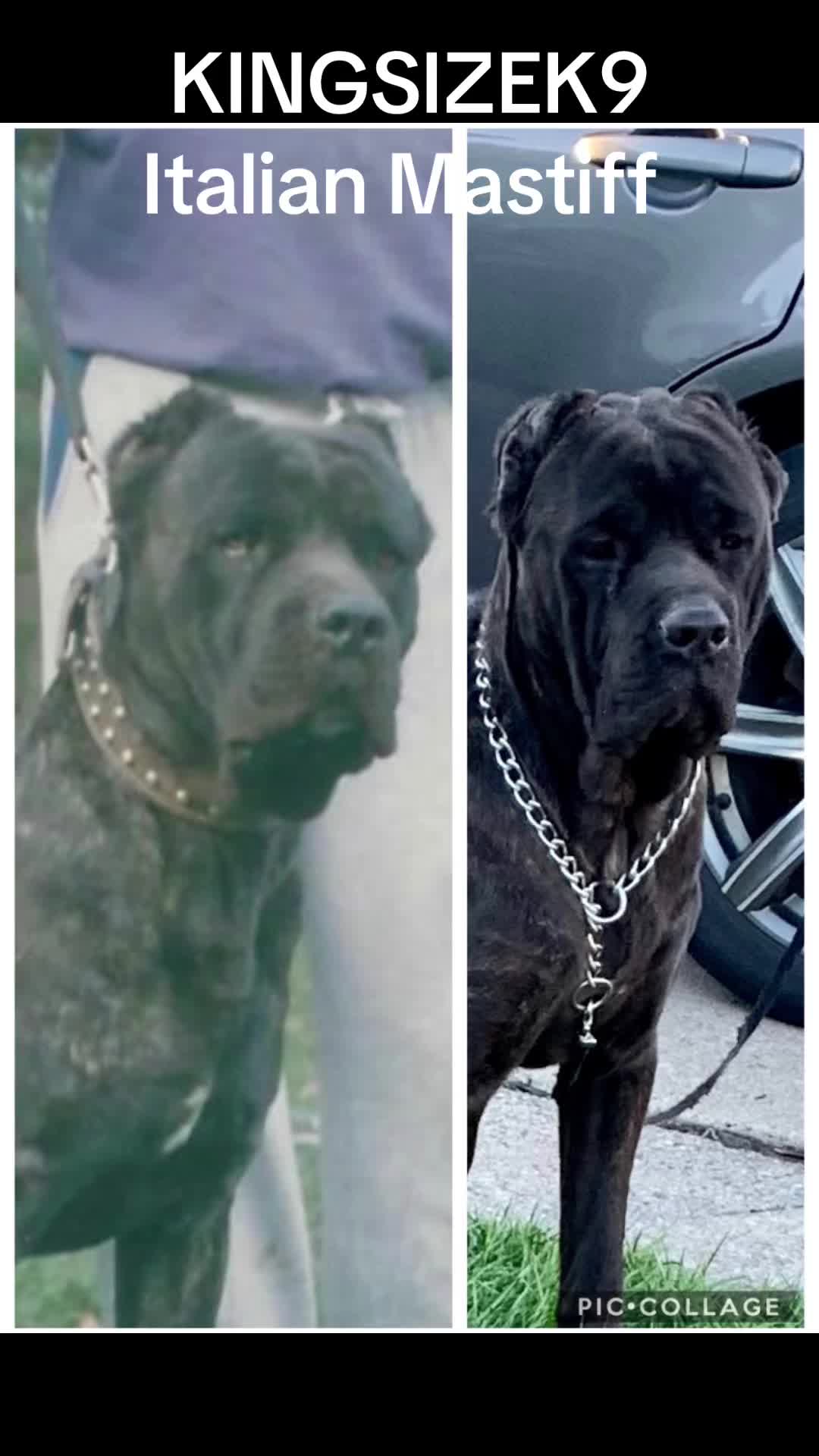 @KingCorso