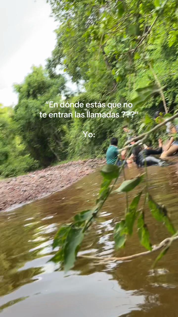 @Elarmdp16