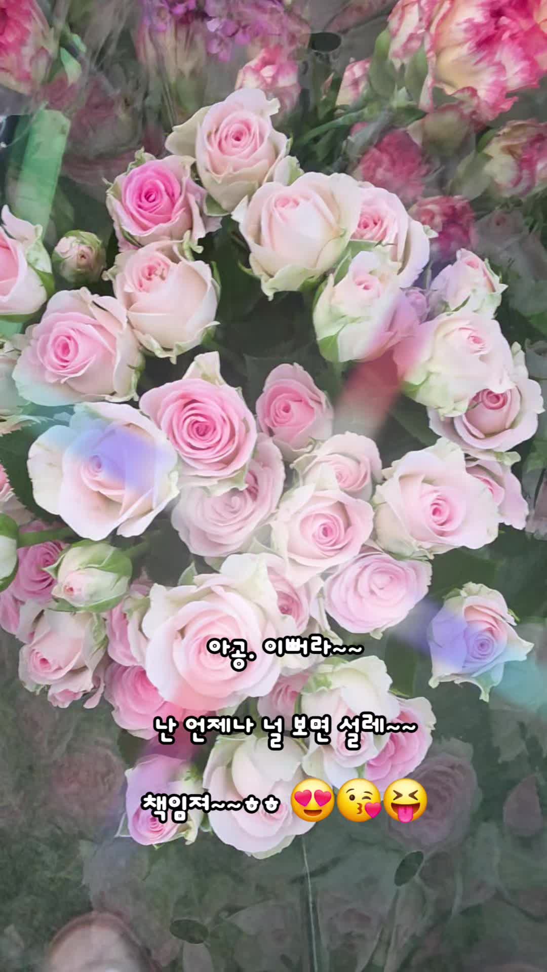 @๐ ๋ฐ๋ณด๋ฅผ์ฌ๋ํ์ธ๋ณด ๐