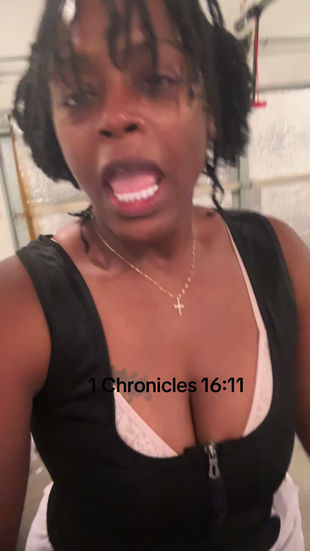 @Shortcake_kennel_2