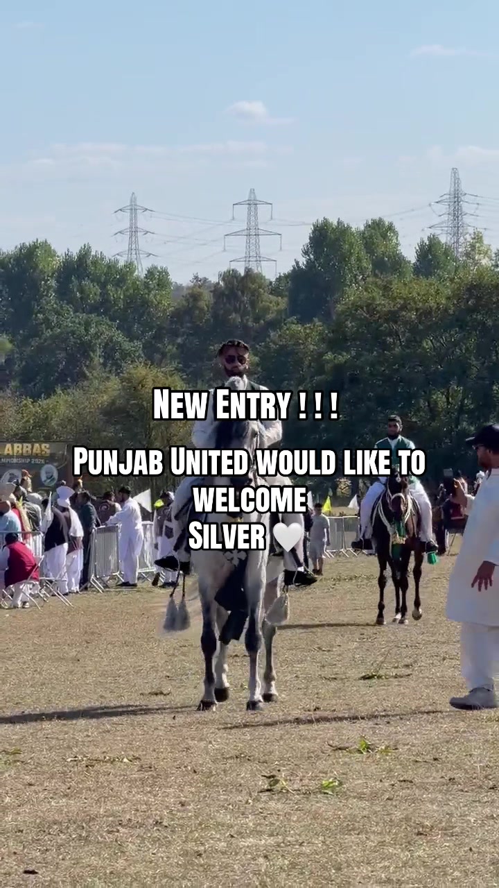 @Punjab United