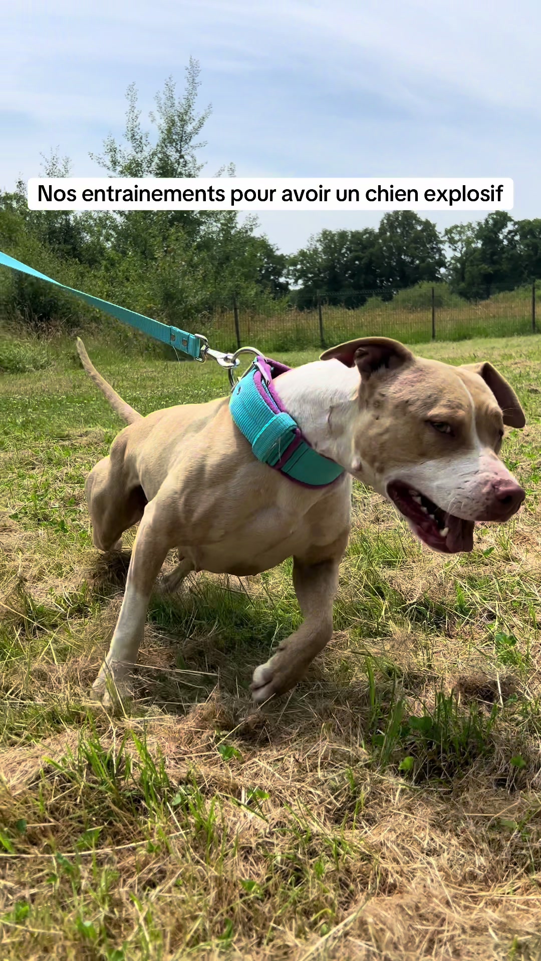 @kiara_isis_apbt