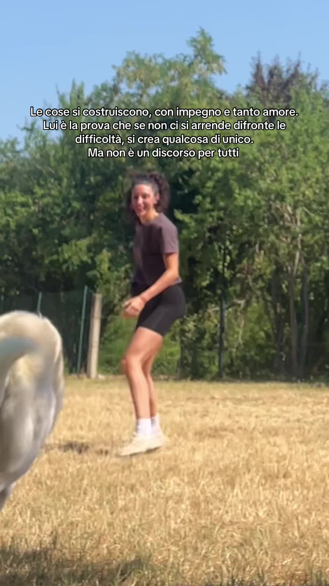 @chiaratarquini