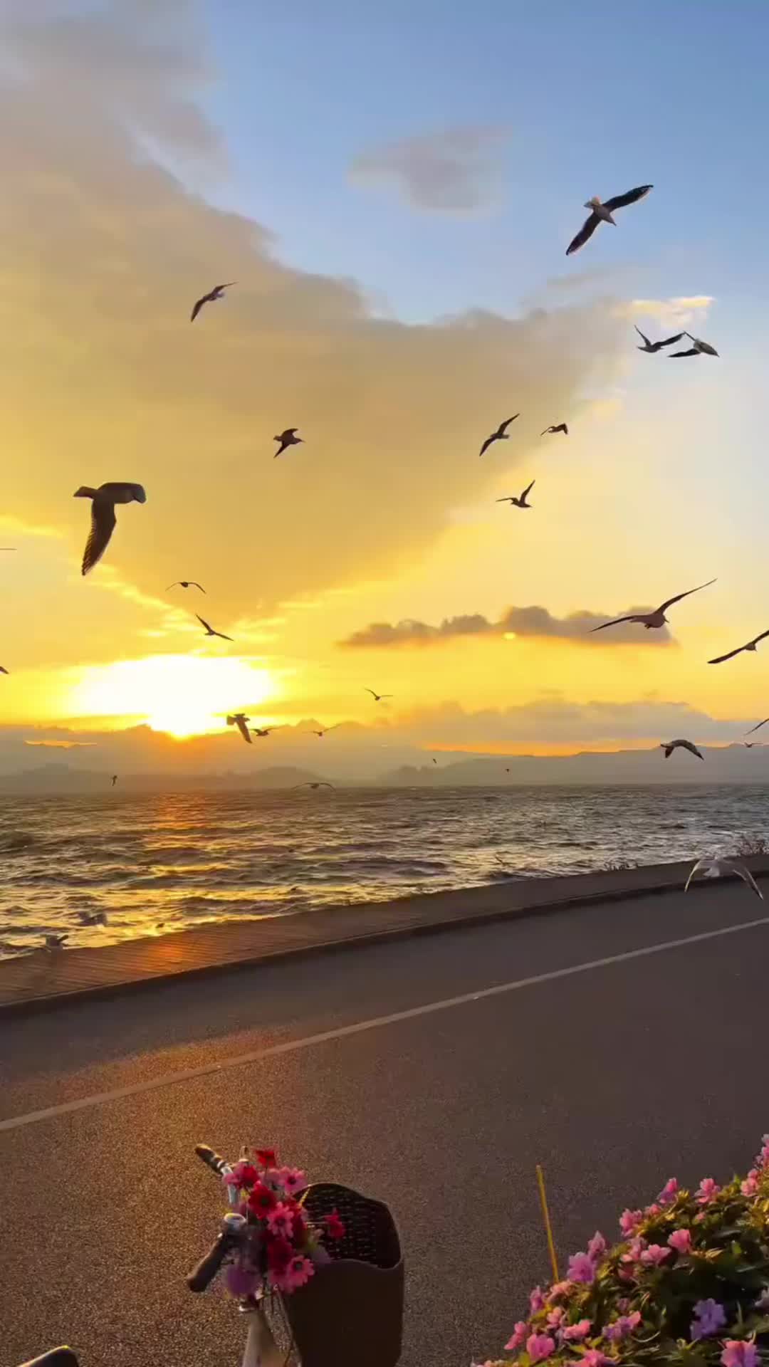 @𝙏𝙖𝙣𝙞𝙖 𝙏𝙞𝙢𝙞𝙨𝙤𝙖𝙧𝙖