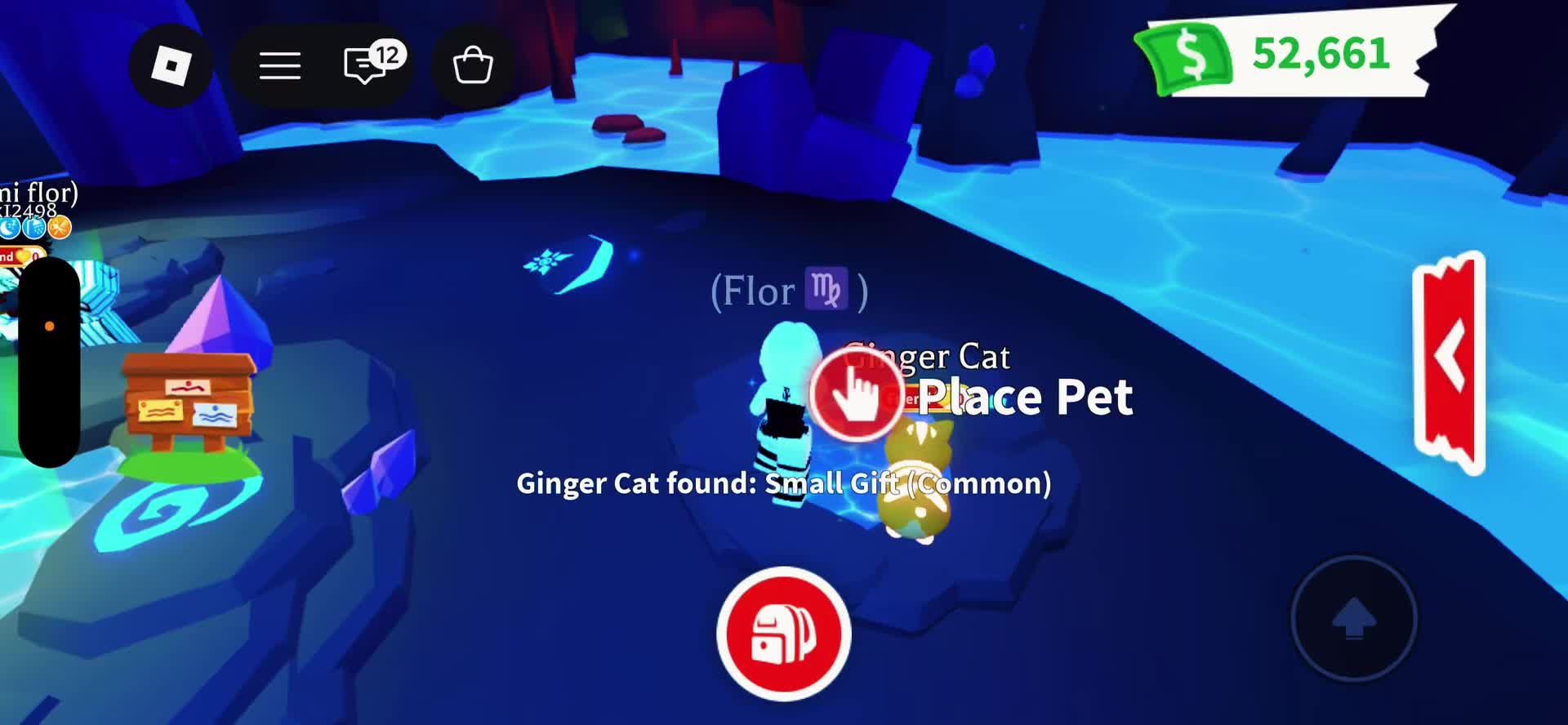 @UserF10r