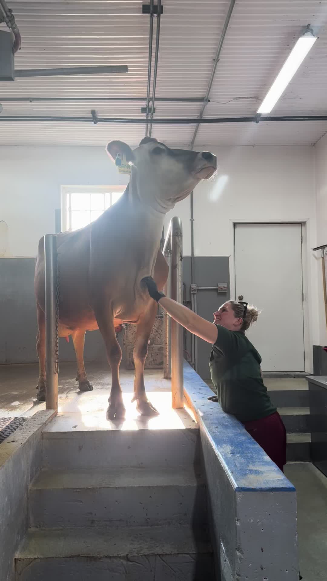 @Megan_dairygirl
